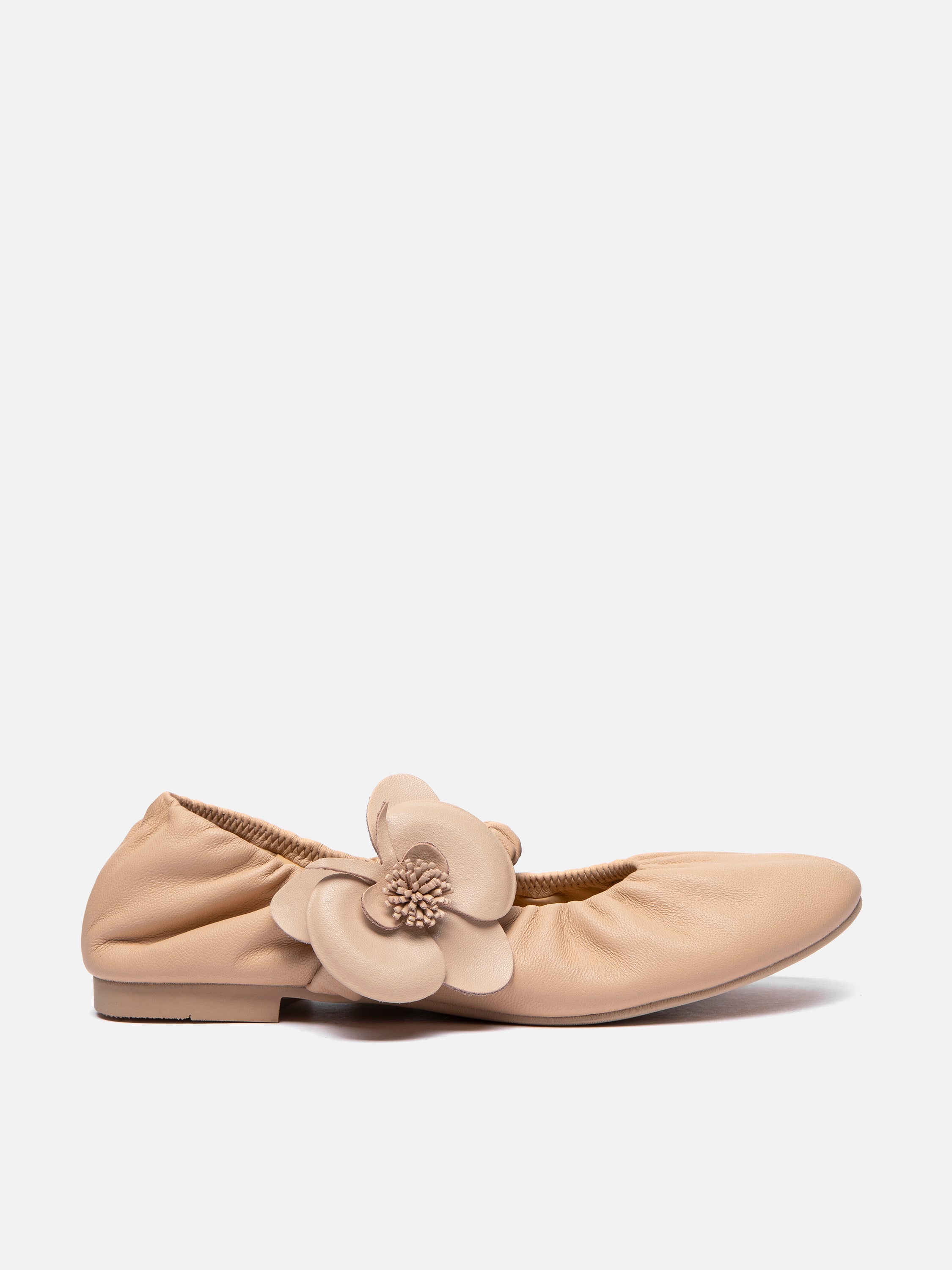 ALMOND